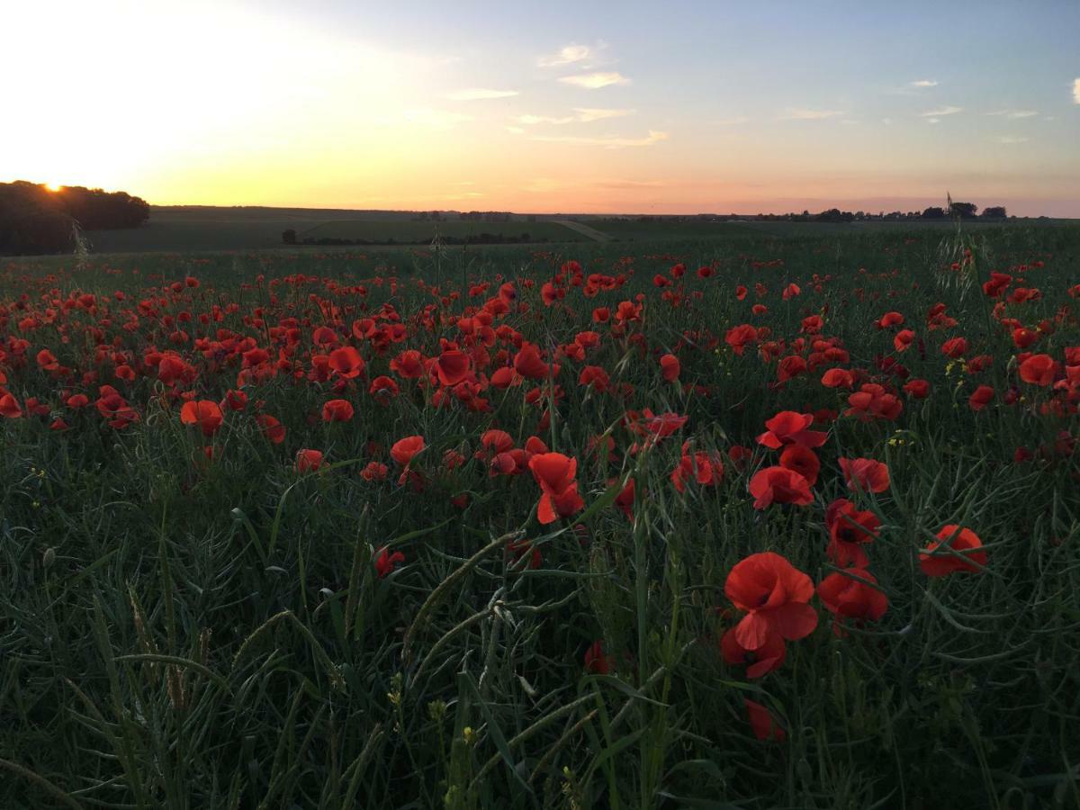 Villa Dupres House, Chavasse Farm, Somme Battlefields Hardecourt-aux-Bois Exterior foto